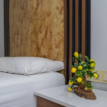 Hotel Senyor Garden 3*