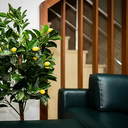 Senyor Garden 3* Istambul